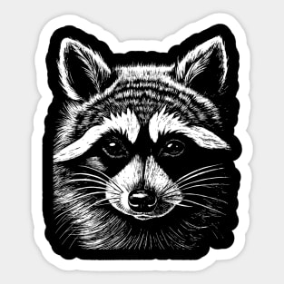 Cute raccoon Sticker